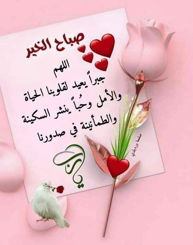 abdula mohammad (@abdulamohammad5) on Twitter photo 