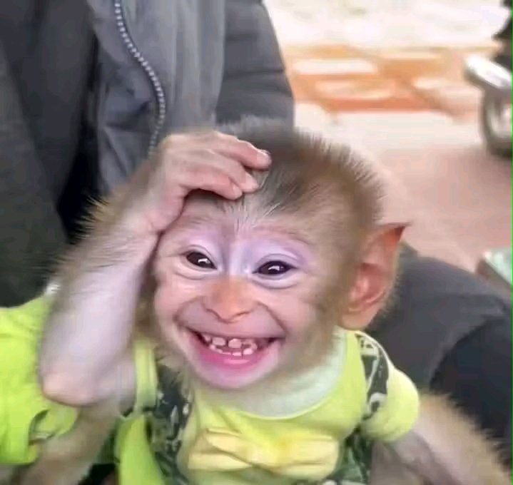 The way women loves money

You would swear they were given birth by a financial advisor bo Satan