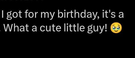 Sorry for the little mistake here, I took this picture before I found out her gender. This was supposed to be "little girl" 👀