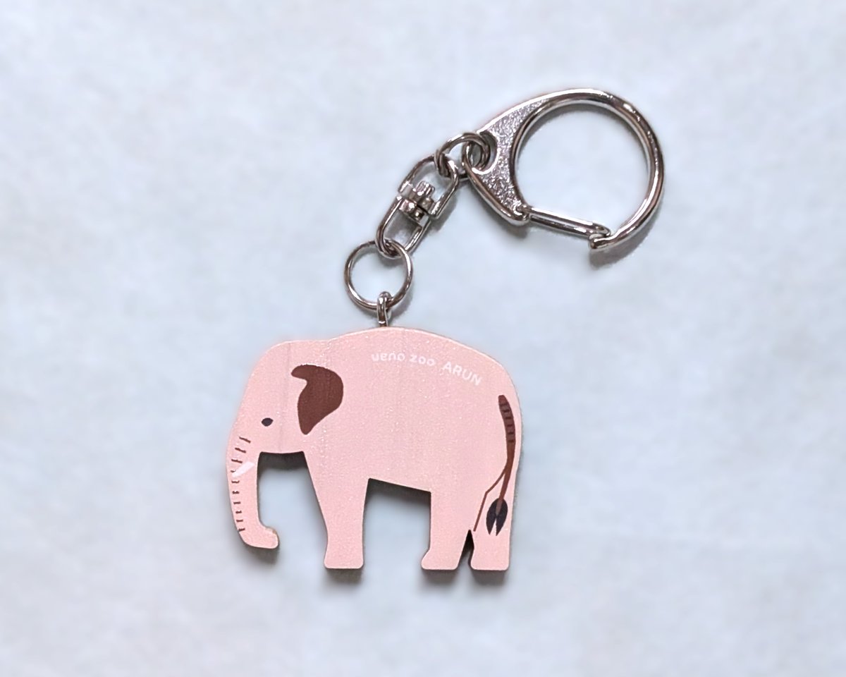 園内ギフトショップより】 ＼🐘8/12は世界ゾウの日🐘／ 「アップ