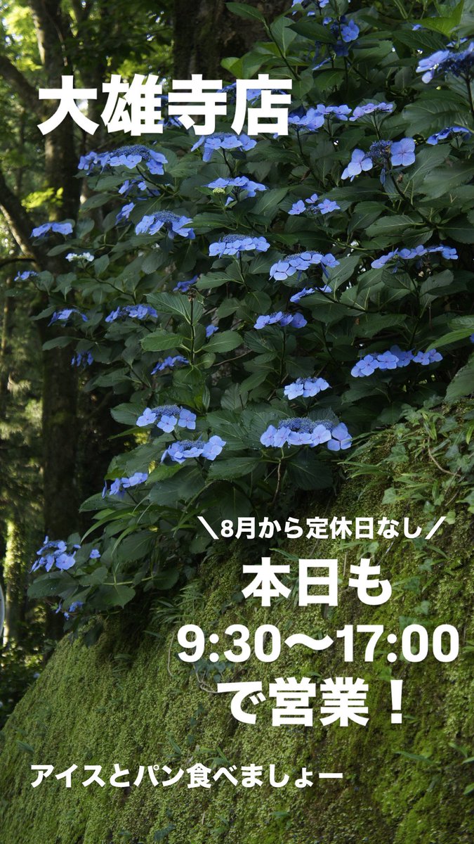 大雄寺店
8月から定休日なしです！
いつでも来てくださいね〜