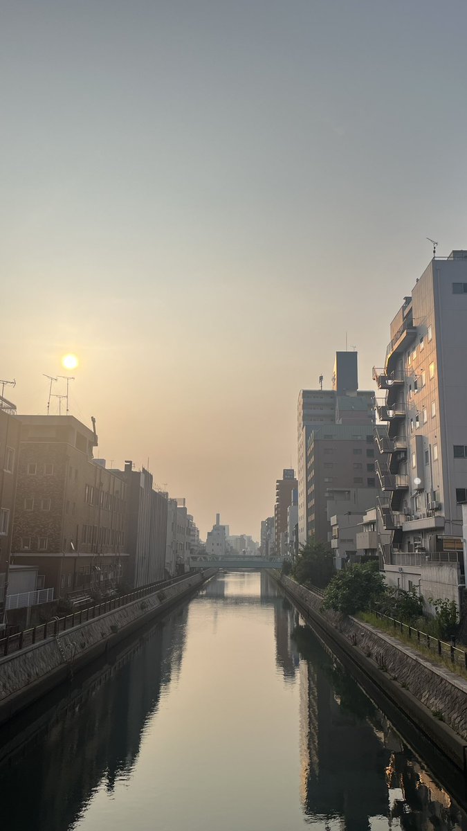希死念慮 tweet media