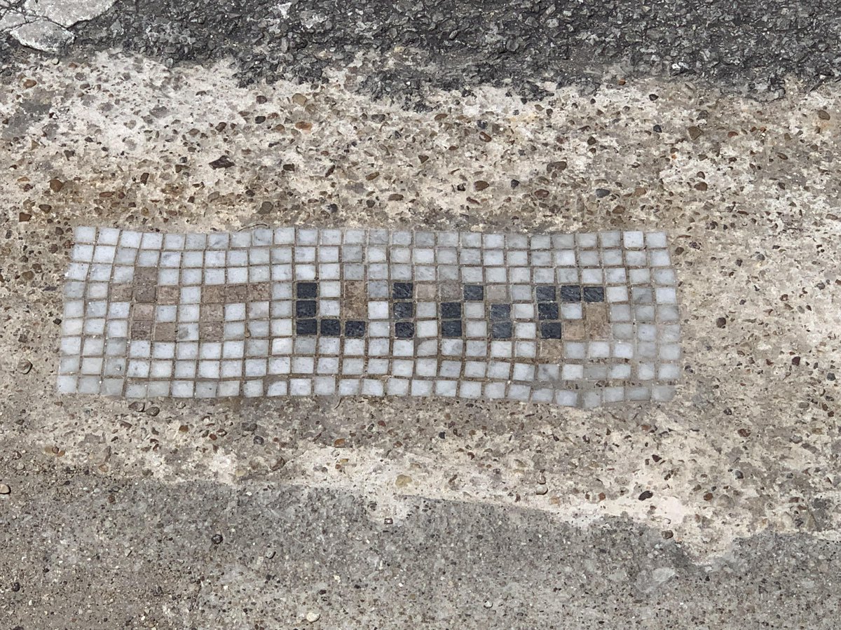 Amelia Kate tweet media