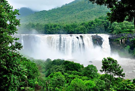 🌿 "प्रकृति हमें सिखाती है — हर पतझड़ के बाद एक नई बहार आती है।"शुभ प्रभात मित्रो 🌹🙏