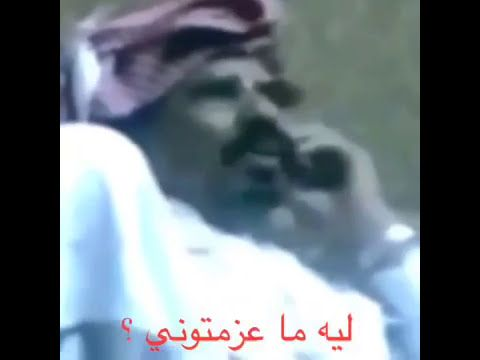 rusty (@rustytheowl) on Twitter photo 