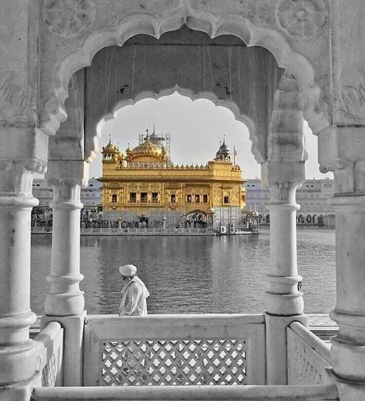 ਮੈ ਚਾਰੇ ਕੁੰਡਾ ਭਾਲੀਆ ਤੁਧੁ ਜੇਵਡੁ ਨ ਸਾਈਆ।।🙏
#ਵਾਹਿਗੁਰੂ_ਜੀ