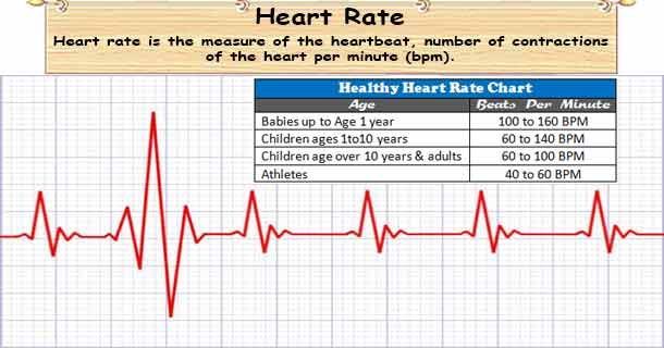 healthyojas's tweet image. Heart Rate is the measure of the beating of the heart per minute. Know your healthy heart rate. buff.ly/UWHGUDU #Hypertension #BloodPressure #HeartRate