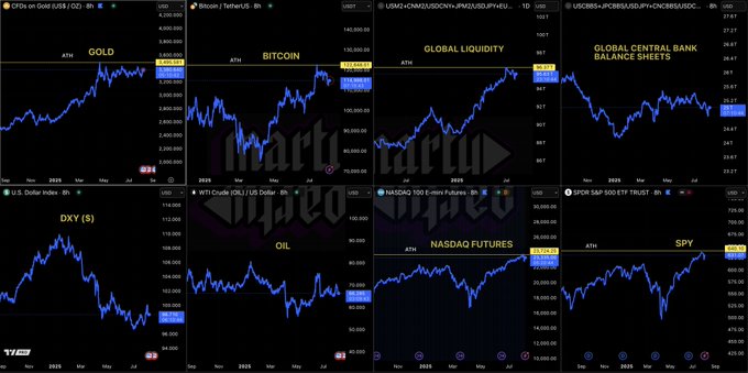 Macro Overview Charts by Marty Party showing Gold, Bitcoin, Global Liquidity, Central Bank Balance Sheets, DXY, Oil, Nasdaq Futures, and S&P 500