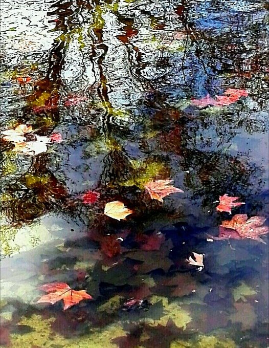 واذكر ربك إِذا نسيت 
 سبحان الله
الحمدلله
 لا إله إلا الله
 الله أكبر
 سبحان الله و بحمده
 سُبحان الله العظيم
 استغفر الله العظيم و أتوب إليه
لا حول و لا قوة إلا بالله
لا اله الا انت سبحانك اني كنت من الظالمين
اللهم انك عفو تحب العفو فاعف عنّا
اللهم صلِّ و سلّم على نبينا محمد