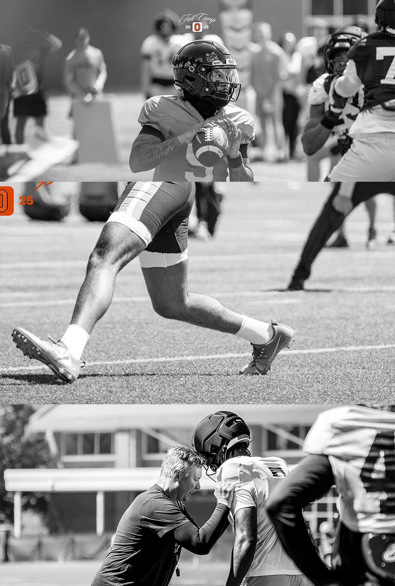 New week, new opportunities 🪵