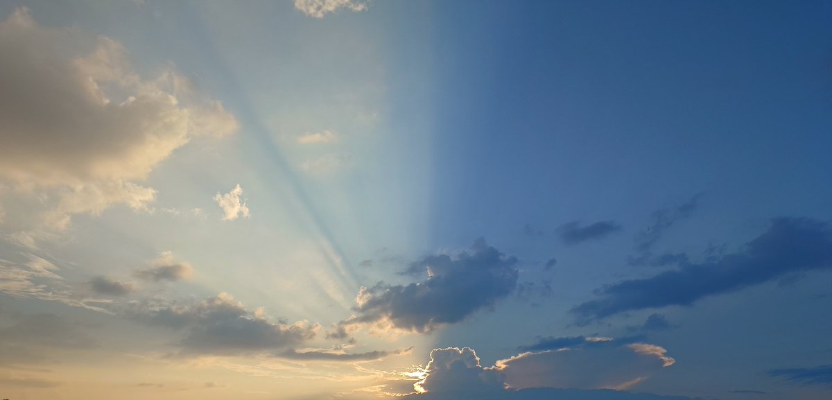 y_u_u_0__0's tweet image. Shot on Xperia 1 VII .
#Xperia #sony #photo