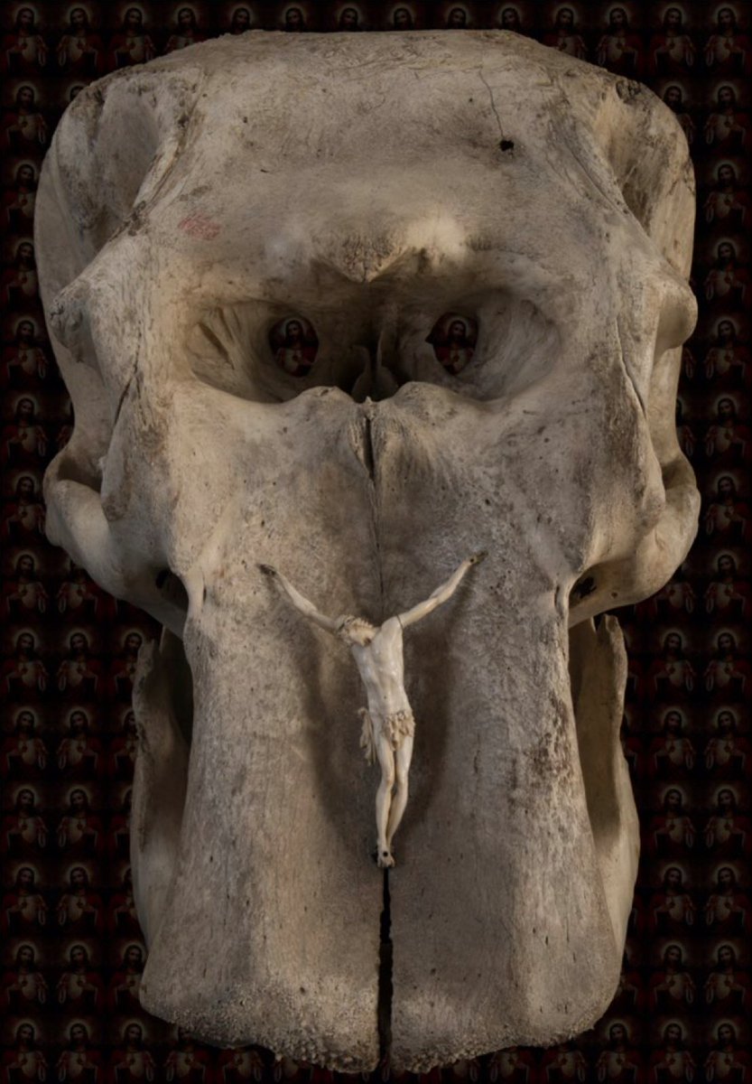 PRoblesGil's tweet photo. Art piece from Extinction Rituals: an elephant skull, ivory Christ, and power symbols - a stark cry against poaching and the erasure of species.
https://t.co/MIAMslhSSP
Obra de Rituales de Extinción: cráneo de elefante, Cristo de marfil y símbolos de poder - denuncia brutal .... https://t.co/0ShkA6Kvms