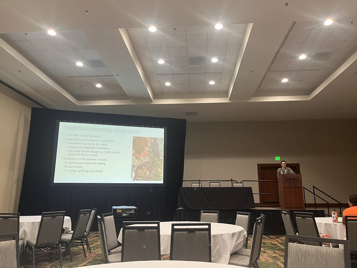 Dan from my lab presented his work on a Pseudomonas phage that has an intriguing role in virulence. #planthealth2025 #proudPI
