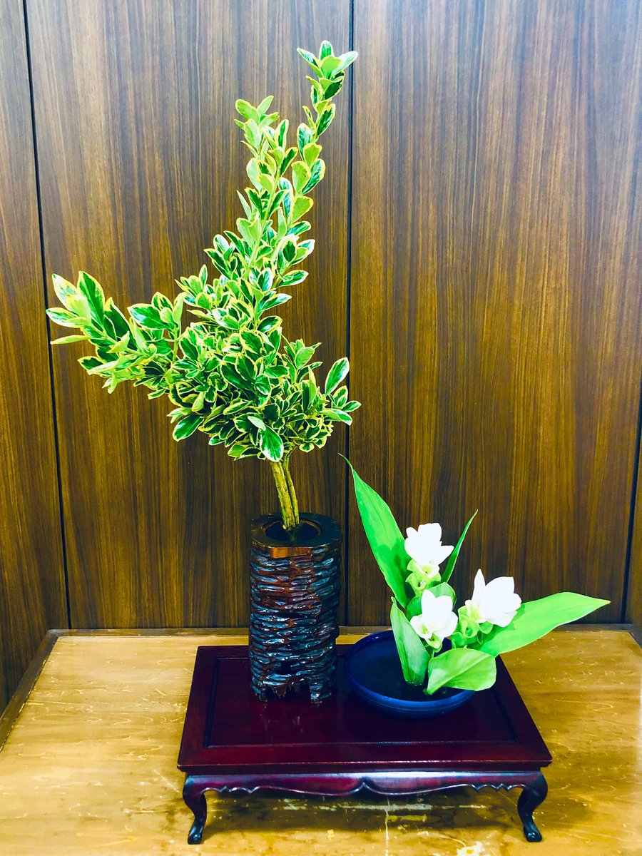 暑中お見舞い申し上げます🎐
実は…昨日は猛暑で倒れてしまいました…
ですが今朝は何とか復活🎉🎊
皆様くれぐれも熱中症にご注意を…

#takashikatoh
#actor
#tagheuer
#miffy
#instagram
#instagramer
#生花
#華道
#古流
#暑中見舞い
#暑中お見舞い申し上げます
#熱中症に注意
#熱中症にご注意を