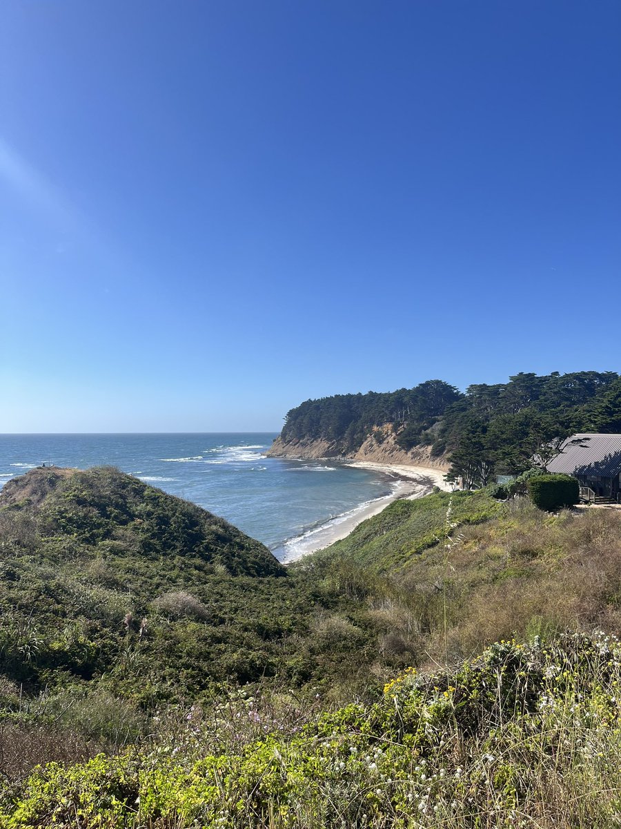 scarybreadman's tweet image. reconnecting with nature brings about within me both an appreciation for life and an intense yearning to be not single