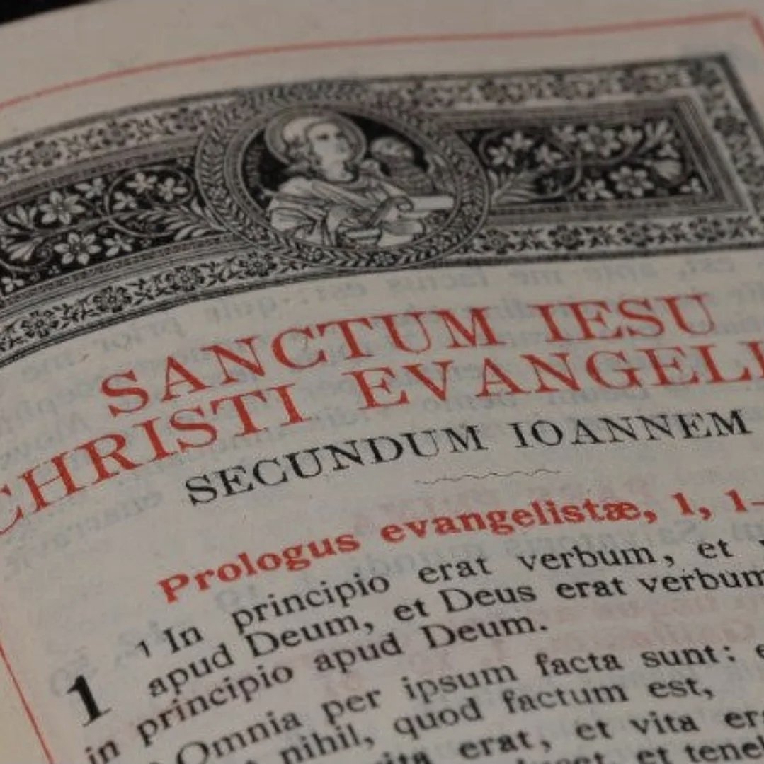 P. Florián, de Luz Pascual. (@pbroflorian) on Twitter photo 