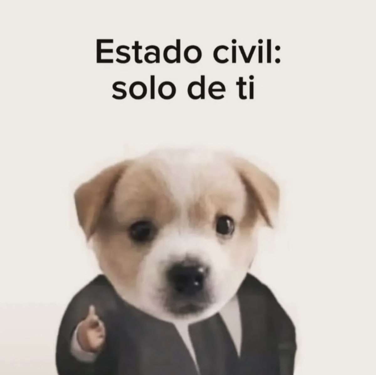 Asies mailob.