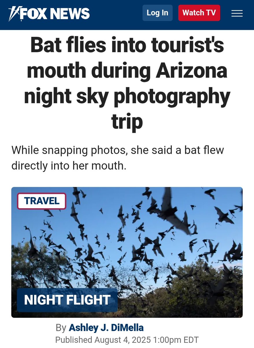 Note to self:
Don't open mouth while looking up to stargaze.