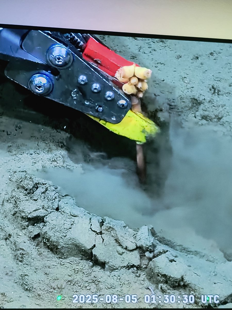 Qué carajo es esto? Tengo miedo