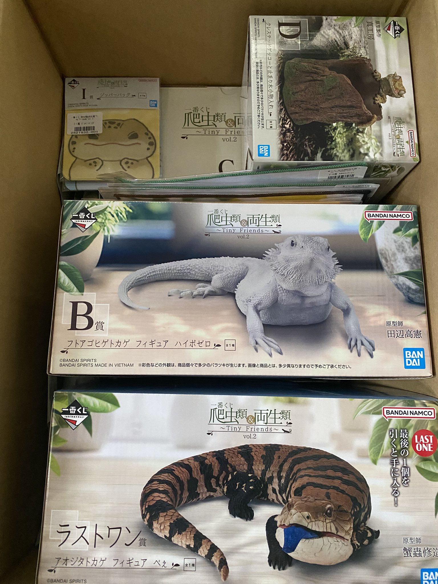 一番くじ 爬虫類＆両生類 D賞クレステッドゲッコー　I賞 F賞 各2点セット 一番くじ 爬虫類 D賞 クレステッドゲッコーと止まり木小物入れ