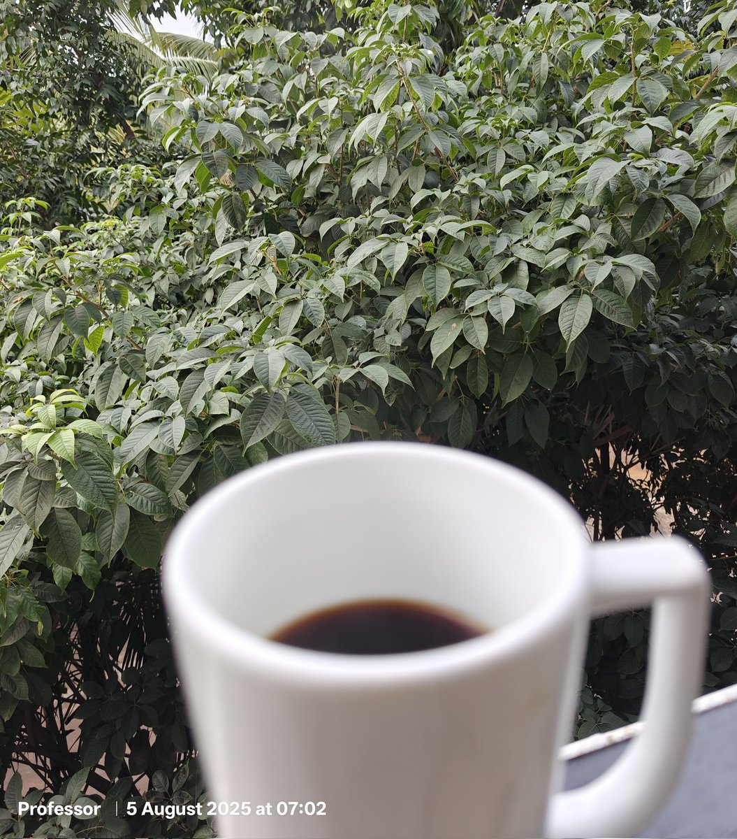 Pause. Sip. Breathe. ☕🌿
Success isn’t always in speed.
Sometimes, it’s in stillness.
In the quiet company of trees.
In a warm cup of black coffee.
In being fully present...
..before the day demands your best
#MorningRitual #MindfulMoments