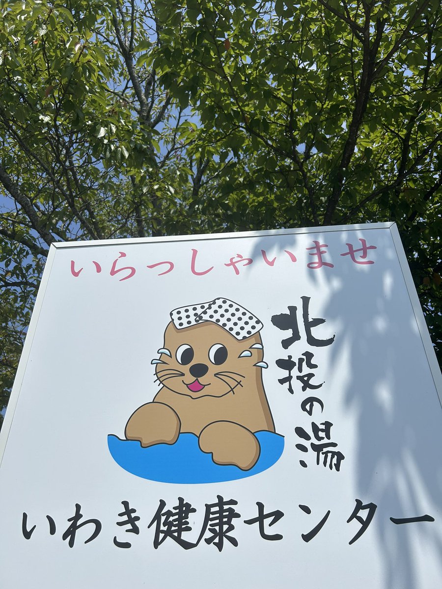 masaari54909331's tweet image. 遠いいラッコ🦦に来た
ひろ〜い､きれ〜！
#いわき健康センター
#IKC