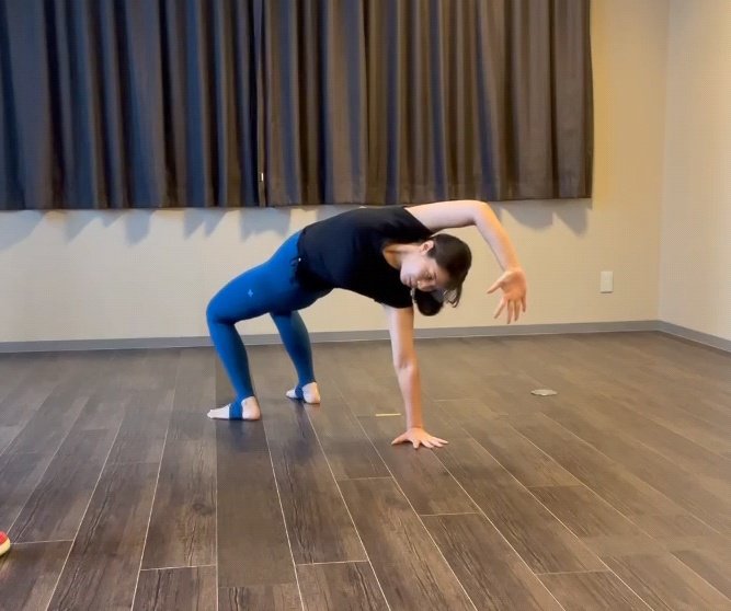 Kumi_Diletto's tweet image. #animalflow