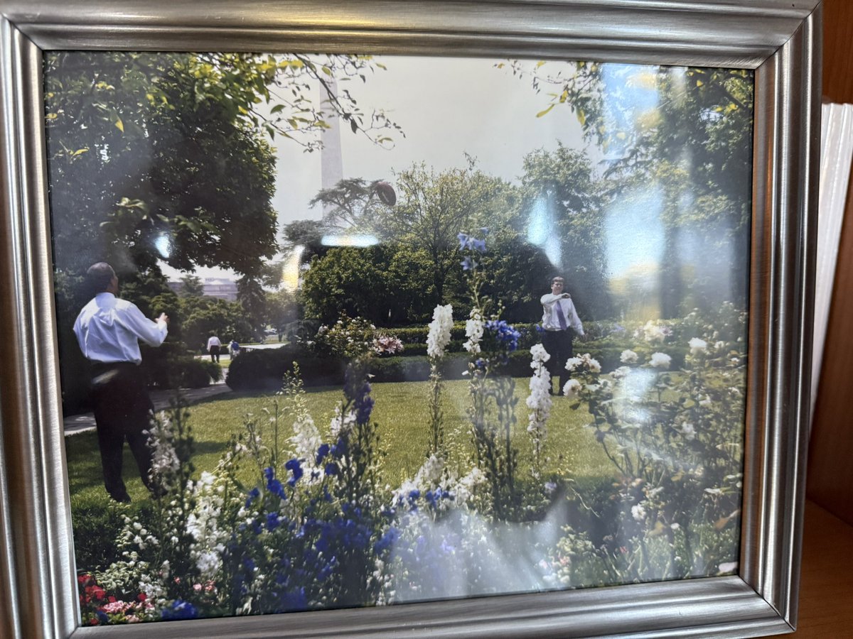 Michael McFaul (@mcfaul) on Twitter photo I once tossed a football with <a href="/BarackObama/">Barack Obama</a> in the Rose Garden, which is probably why seeing it paved by Trump feels so sad. I once tossed a football with <a href="/BarackObama/">Barack Obama</a> in the Rose Garden, which is probably why seeing it paved by Trump feels so sad.