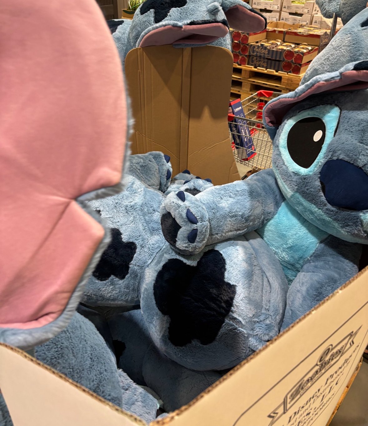 コストコ　特大スティッチ コストコ再入荷！巨大スティッチが大人気 | TikTok