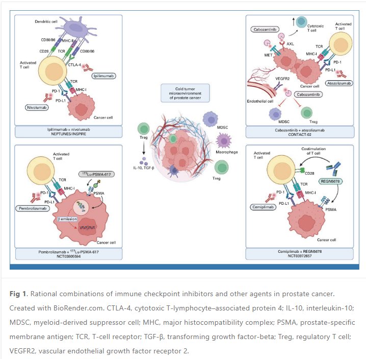 Nicolas Sayegh, MD tweet media