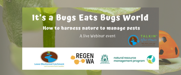 Want to reduce your pesticide use while boosting productivity, promoting plant health, and supporting biodiversity?

Jump online today at 12:00pm 'It's a Bugs-Eat-Bugs World' integrated pest management webinar, led by Dr Anthony Rice.

lowerblackwood.clickmeeting.com/it-s-a-bugs-ea…