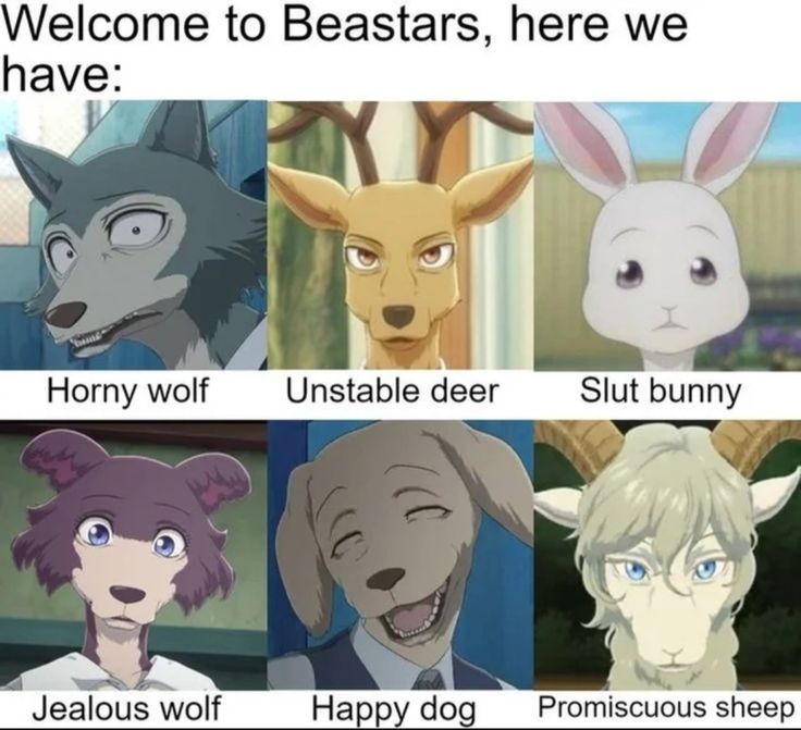 リアム 🐺✨️ (@therealriamu) on Twitter photo 