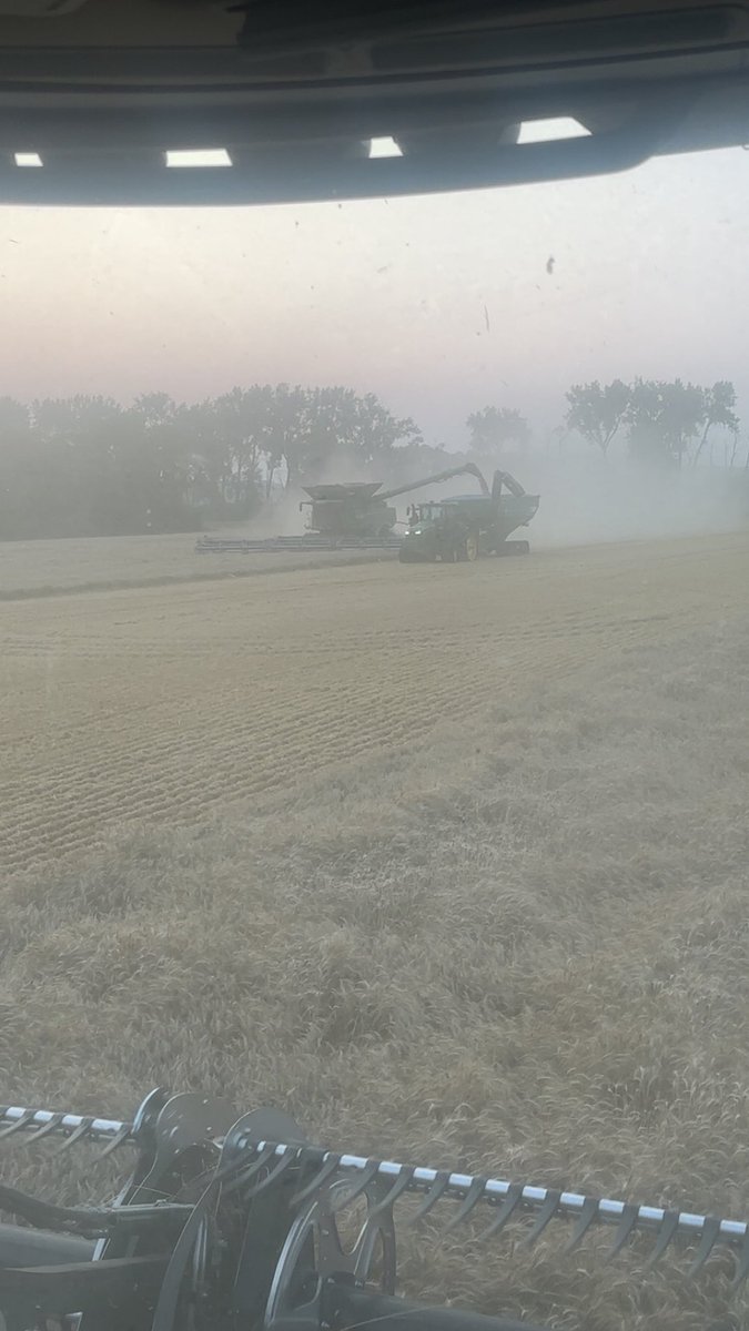 Greg Thykeson tweet media