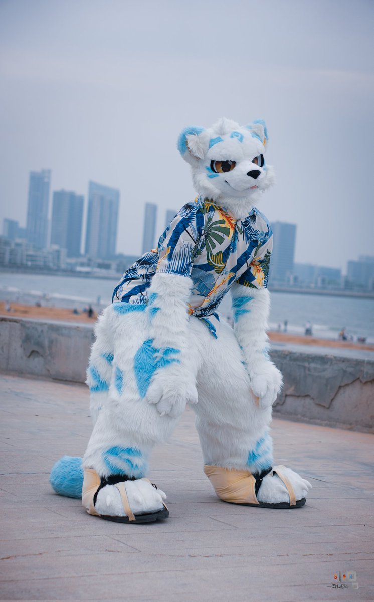 翘
📷：<a href="/yeKevin15/">小Q 🔜 极兽聚SFF</a>