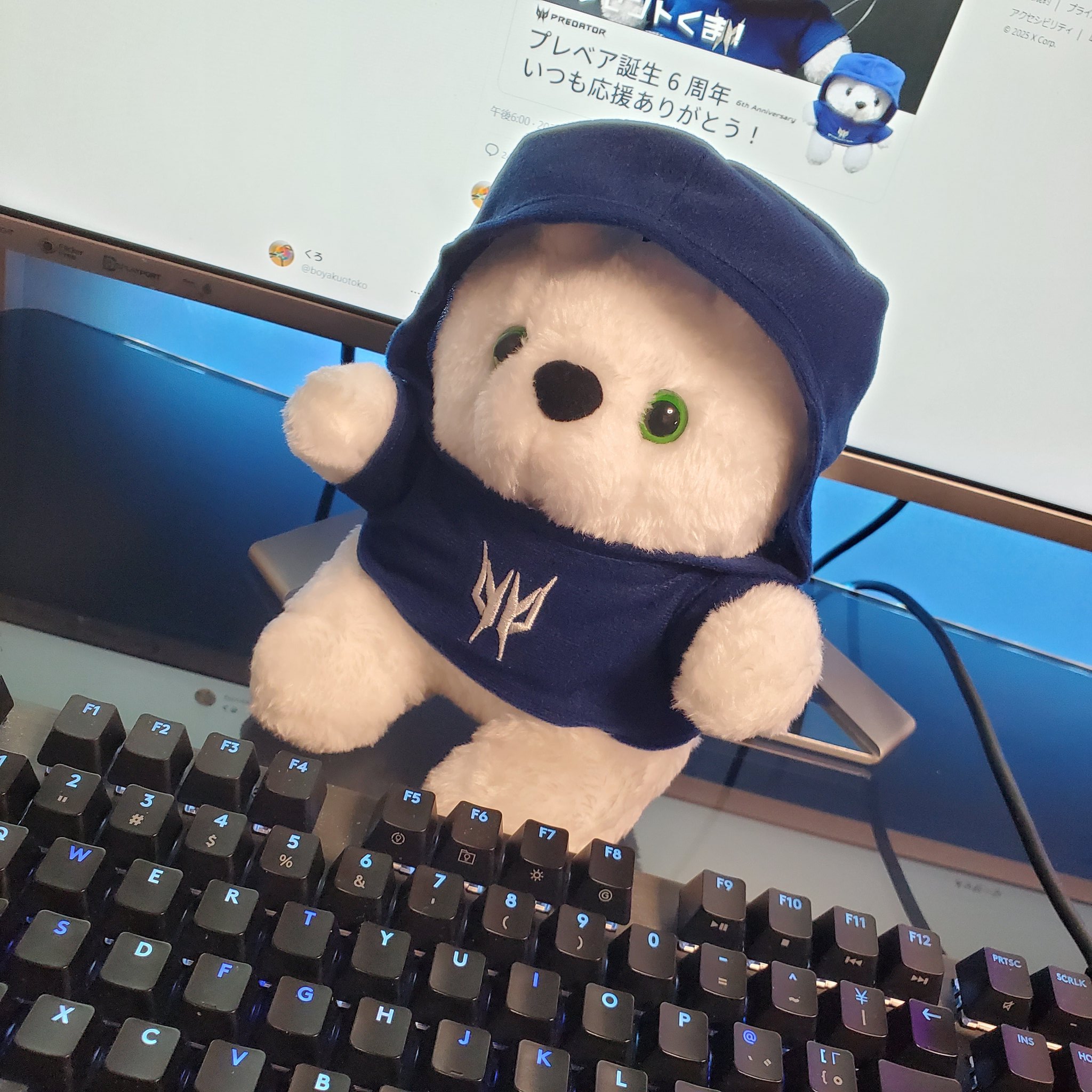 日本エイサー　プレデター　プレベア　ぬいぐるみ　テディベア Predator Bear 📣🧸🔥 #AcerPlayMaster (@predator_bear) / X