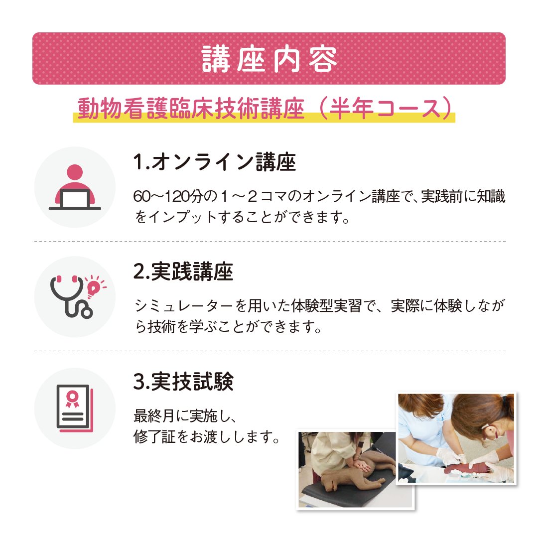 EDUWARD_Press's tweet photo. ＼🔔大好評の対面実習「トレセン」募集中！／
動物看護トレーニングセンター東京　第2クール
￣￣￣￣￣￣￣￣￣￣￣￣￣
▼詳細・お申し込みはこちら
https://t.co/DmX8UtSOQe https://t.co/yBgdAXyBs3