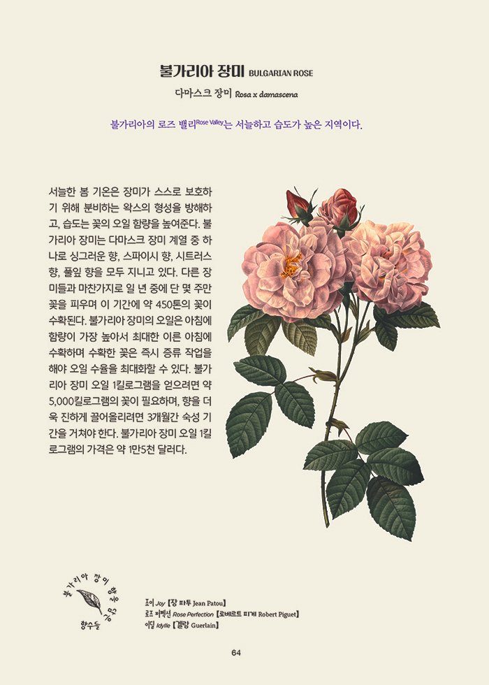 appletales1's tweet photo. 프레그런스, 자연의 향기

향수의 비밀을 담은, 『프레그런스, 자연의 향기』 출간

영국 왕립식물원 큐가든 협업으로 완성된 향수에 담겨진 자연 원료 100선

레몬부터 우드까지, 힐링을 선물해 주는 향수 이야기

#프레그런스 #향수 #조향 #힐링 #취미 https://t.co/6359XO7A4L
