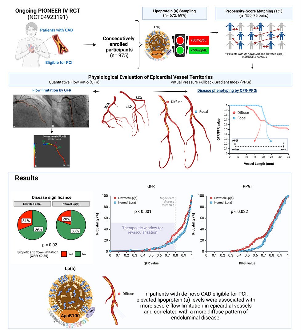 CRMjournal (@crmjournal) on Twitter photo Just accepted in <a href="/CRMjournal/">CRMjournal</a>+@ELS_Cardiology!
Impact of elevated #Lipoprotein(a) on epicardial #Coronary flow conductance and endoluminal atherosclerotic disease distribution by Mick P.L. Renkens et al.
sciencedirect.com/science/articl… Just accepted in <a href="/CRMjournal/">CRMjournal</a>+@ELS_Cardiology!
Impact of elevated #Lipoprotein(a) on epicardial #Coronary flow conductance and endoluminal atherosclerotic disease distribution by Mick P.L. Renkens et al.
sciencedirect.com/science/articl…
