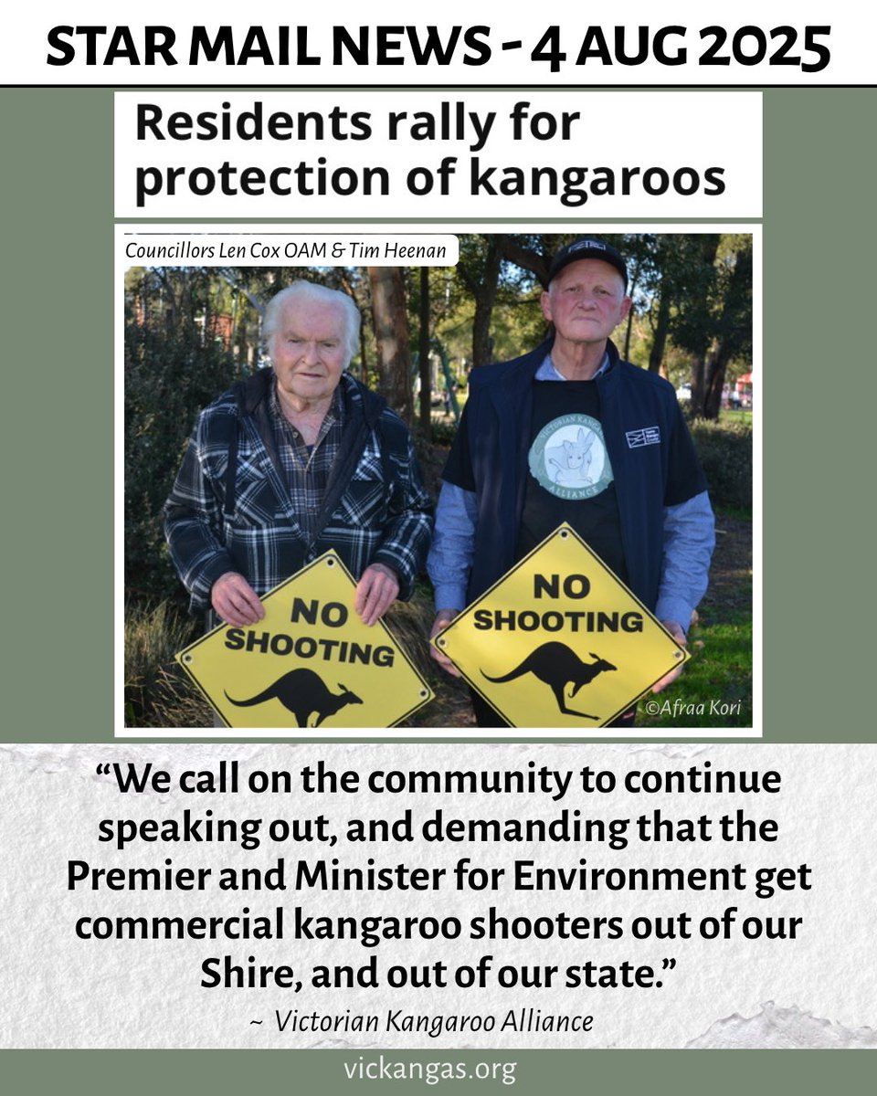 Victorian Kangaroo Alliance (@vickangaroos) on Twitter photo A RESOUNDING SUCCESS
The Star Mail has covered our event from Saturday, please have a read 👉 shorturl.at/ErIof
Thank you to everyone involved!
Please keep holding <a href="/JacintaAllanMP/">Jacinta Allan</a> & <a href="/Steve_Dimo/">Steve Dimopoulos MP</a> to account. They must do better.
#yarraranges #yarravalley #kangaroos A RESOUNDING SUCCESS
The Star Mail has covered our event from Saturday, please have a read 👉 shorturl.at/ErIof
Thank you to everyone involved!
Please keep holding <a href="/JacintaAllanMP/">Jacinta Allan</a> & <a href="/Steve_Dimo/">Steve Dimopoulos MP</a> to account. They must do better.
#yarraranges #yarravalley #kangaroos