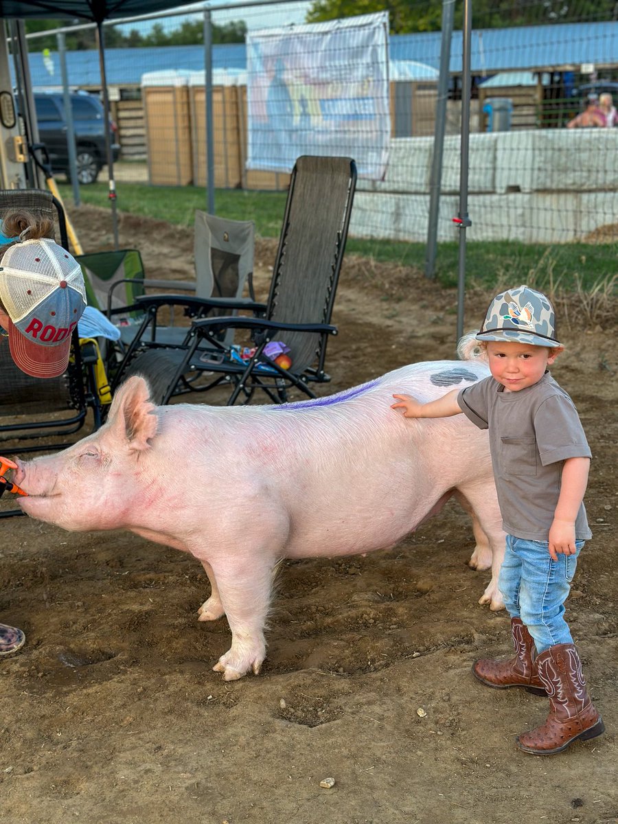We just bought this pig at the County Fair. Now to explain to my kids why we aren’t taking It home after we bought It