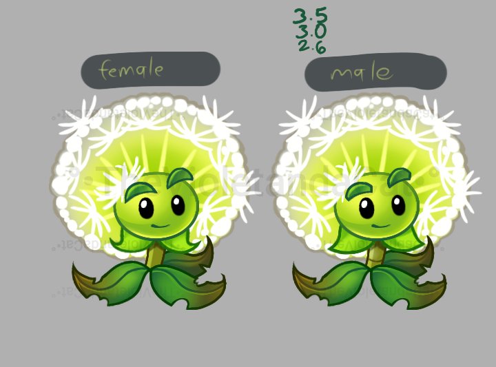 TheVioletandCat's tweet image. I know people love Red stinger and Homing thistle but guys, don&apos;t forget dandelion exist to keep them from....oh Idk- not die from they&apos;re 2 connected braincells fighting for third?
drew a doodle of the trio and made dandelion a girl :P
#PvZ2 #pvzfanart #pvzart