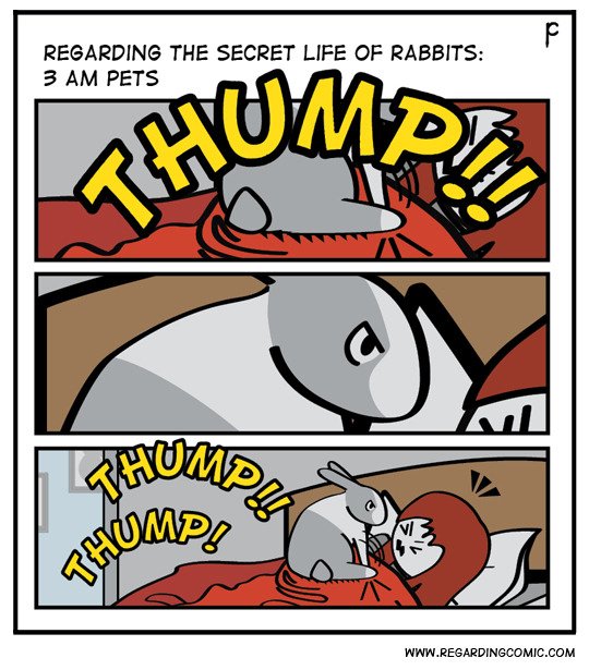 #rabbits #bunny #bunnies #houserabbits #bunnylove #rabbitlife #rabbitrabbit #bunniesworldwide #housebunnies #bunnylover #rabbitlover #bnuuy  #comics #bunnyposting