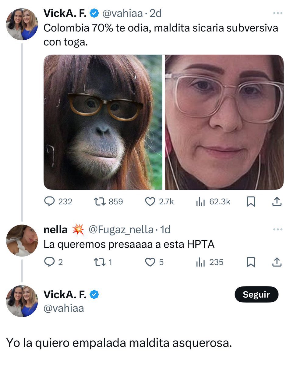 Mientras se imparte justicia conforme a los principios de un Estado Social de Derecho, los enemigos de esta, quieren a la jueza la “empalen”.