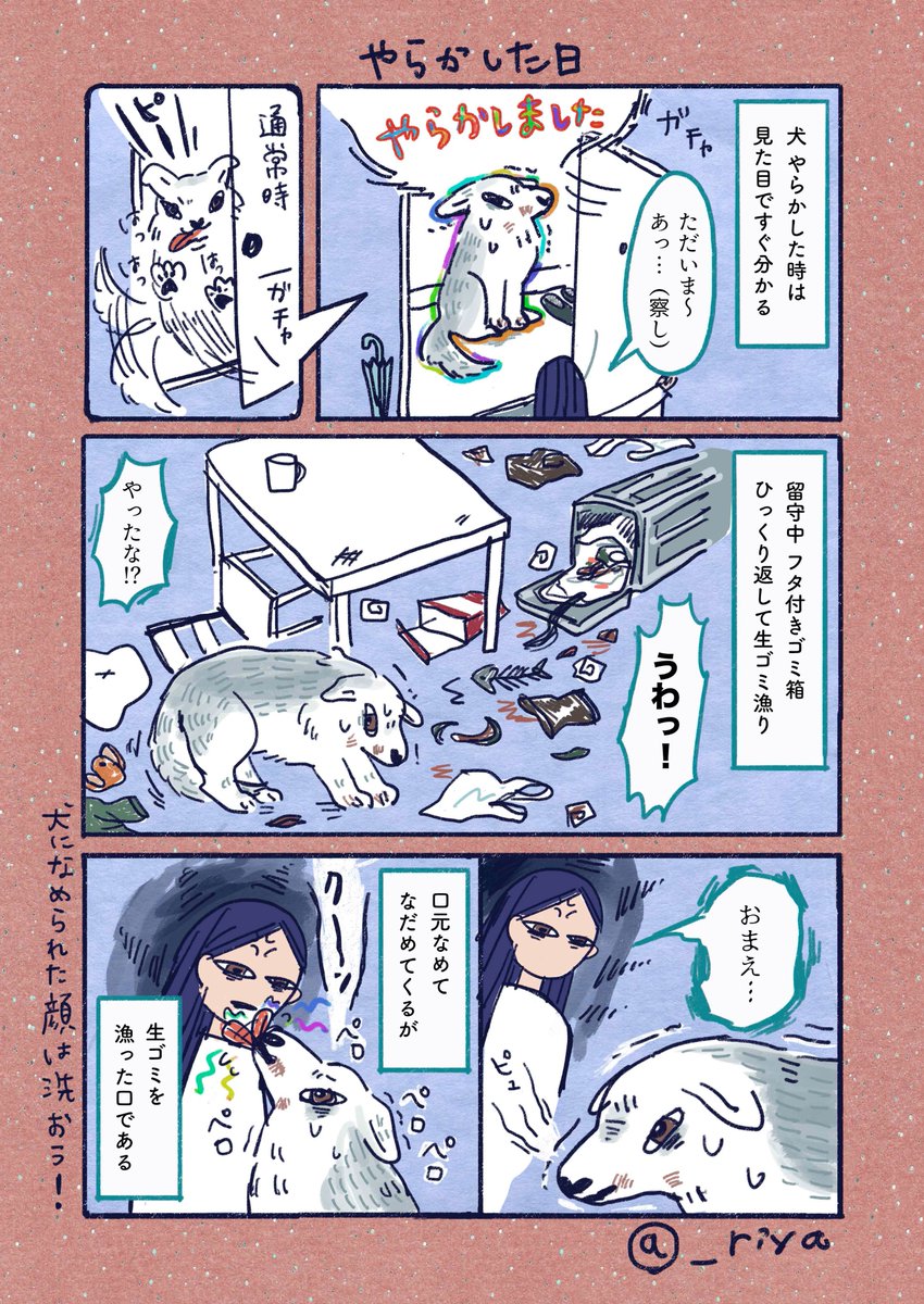 デカい狼犬との日常🐺
「やらかした日」
3才頃までよくやらかしていた、玄関でこの顔してたらもうアウト