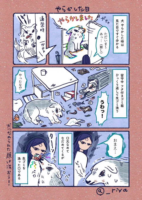 デカい狼犬との日常🐺 

「やらかした日」
3才頃までよくやらかしていた、玄関でこの顔してたらもうアウト 