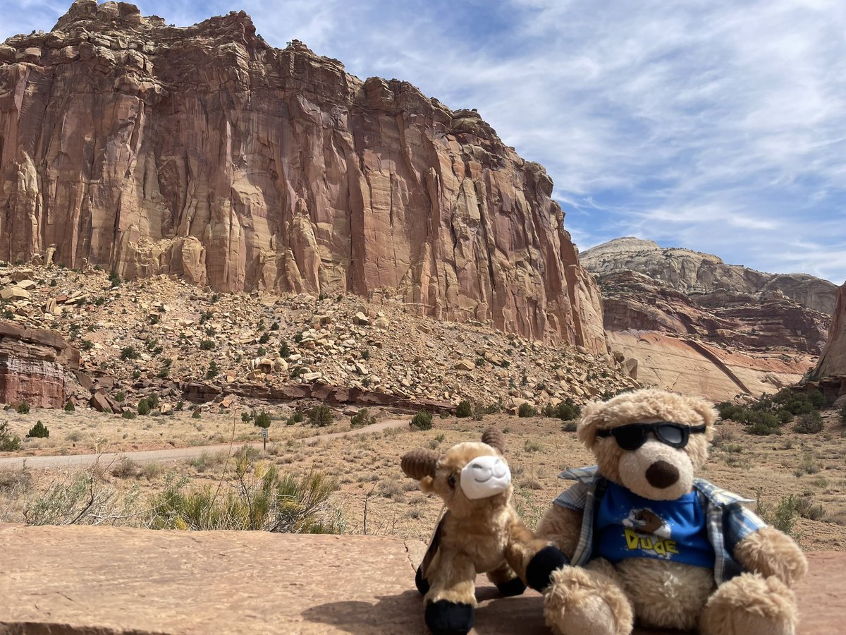 More Utah national parks today! Capitol Reef and Canyonlands. The humans had pie 🥧 at Capitol Reef but ate it all themselves without sharing - very mean! Mesa Arch is still beautiful - m y human’s favourite view. <a href="/CapitolReefNPS/">Capitol Reef NPS</a> <a href="/CanyonlandsNPS/">CanyonlandsNPS</a> #mesaarch #utahrocks #pie