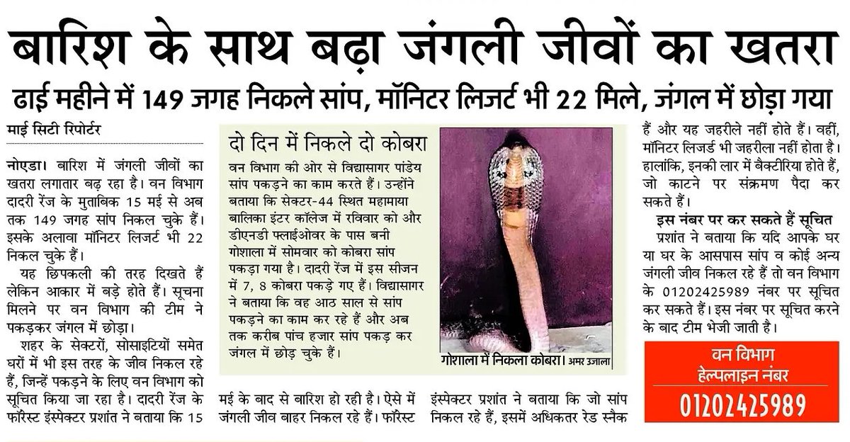 Vanya Dixit (@vanya_reporter) on Twitter photo घर, सेक्टर और सोसाइटी में निकल रहे सांप और जहरीले जीव।
<a href="/AmarUjalaNews/">Amar Ujala</a>
<a href="/noida_authority/">NOIDA Authority</a> <a href="/DEFCCOfficial/">Department of Environment, Forest & Climate Change</a> <a href="/UpforestUp/">Environment, Forest and Climate Change Department</a> #noida घर, सेक्टर और सोसाइटी में निकल रहे सांप और जहरीले जीव।
<a href="/AmarUjalaNews/">Amar Ujala</a>
<a href="/noida_authority/">NOIDA Authority</a> <a href="/DEFCCOfficial/">Department of Environment, Forest & Climate Change</a> <a href="/UpforestUp/">Environment, Forest and Climate Change Department</a> #noida