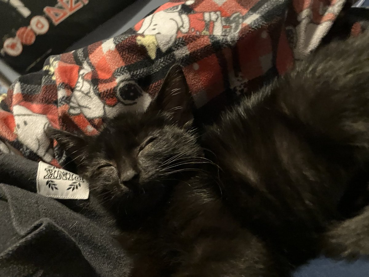 i will draw soon but i just got a cat and he’s sleeping on me right now so i cant move