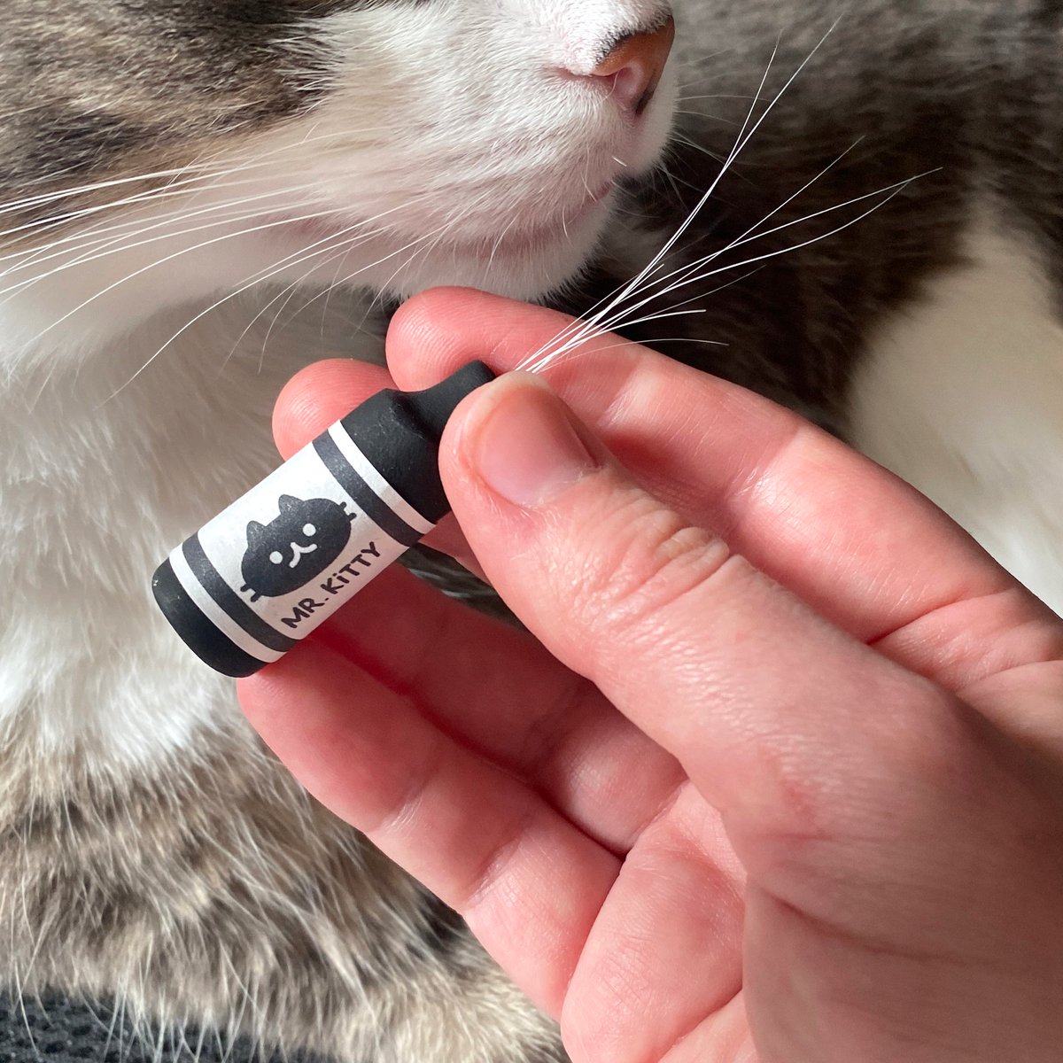 Mini Crayon Pots now in... custom pet names with kitty logo!! 🖍️🥺🐈