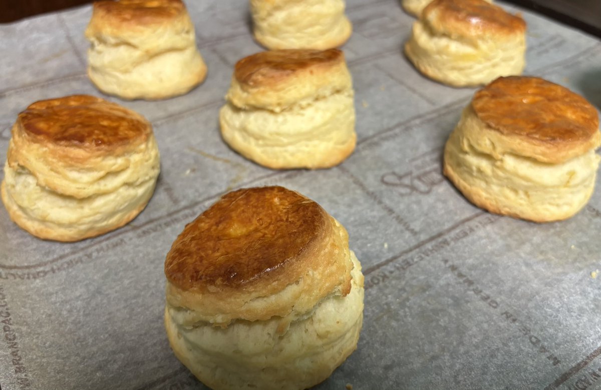 店舗での販売はしばらくお休みですが辰巳茶房さま<a href="/nagisatearoom23/">Tea and Antiques 辰巳茶房</a> への納品は続けております。(当店のスコーンはイートインのみです)
岡本でお待ちしております。